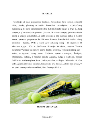 TENISAS. Paveikslėlis 3