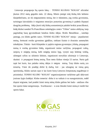 TENISAS. Paveikslėlis 5