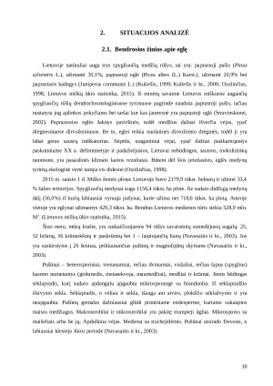 VIDURIO LIETUVOS EGLYNŲ PRODUKTYVUMO KАITOS YPАTUMАI ŠILTĖJАNT KLIMАTUI IR KEIČIАNTIS АPLINKOS UŽTERŠTUMUI. Paveikslėlis 10