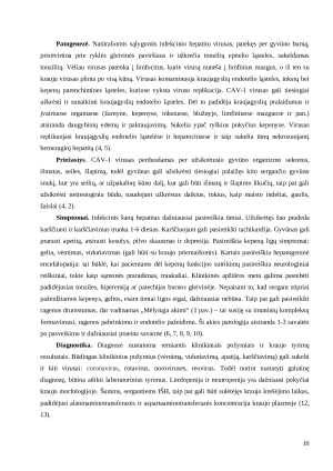 Šunų kepenų funkcijos nepakankamumo „X“ ir „Y“ veterinarijos klinikose 2015–2019 metais analizė. Paveikslėlis 10