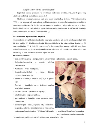 Šunų odos pakitimų dėl hipotiroidizmo įtakos analizė smulkių gyvūnų klinikoje „X“. Paveikslėlis 9