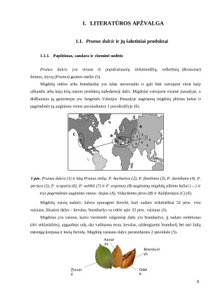Varškės sūrių vertės padidinimas panaudojant Prunus dulcis šalutinius produktus ir jų įtaka kokybės rodikliams. Paveikslėlis 8