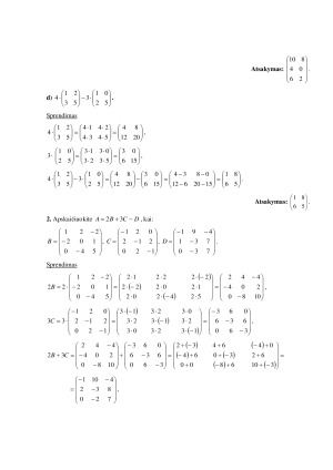 Matricos ir determinantai. Paveikslėlis 4