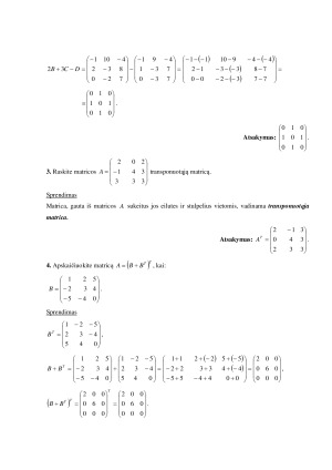 Matricos ir determinantai. Paveikslėlis 5