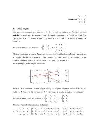 Matricos ir determinantai. Paveikslėlis 6