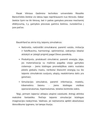 Simuliakrinė Kultūra. Paveikslėlis 4