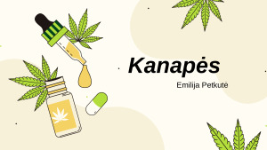 Kanapės. Paveikslėlis 1