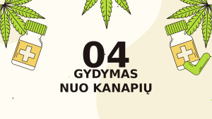 Kanapės. Paveikslėlis 10