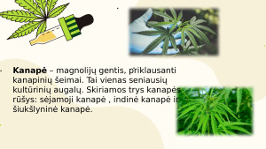 Kanapės. Paveikslėlis 2