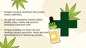 Kanapės. Paveikslėlis 4
