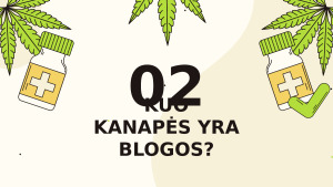 Kanapės. Paveikslėlis 5