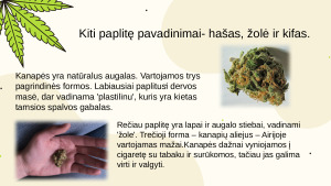 Kanapės. Paveikslėlis 6