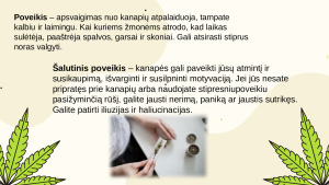 Kanapės. Paveikslėlis 7