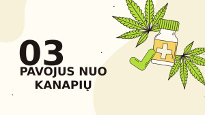 Kanapės. Paveikslėlis 8