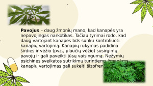 Kanapės. Paveikslėlis 9