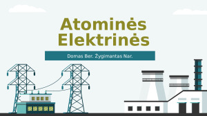 Atominės Elektrinės. Paveikslėlis 1