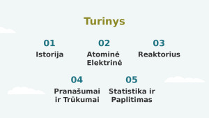 Atominės Elektrinės. Paveikslėlis 2