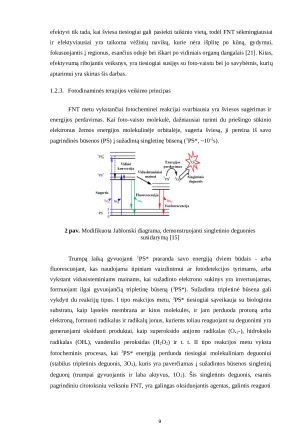 FOTO-VAISTO 5,10,15,20-TETRAKIS(4- SULFONATOFENIL) PORFIRINO (TPPS4) SPEKTRINIŲ IR ERDVINIŲ SAVYBIŲ TYRIMAS. Paveikslėlis 9