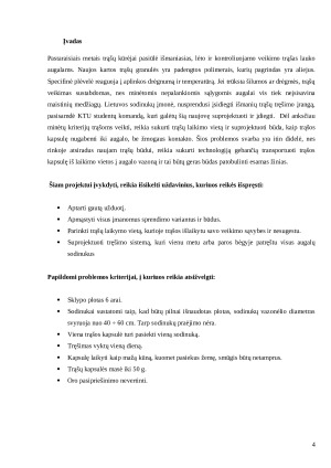 PBL ataskaitos šablonas. Paveikslėlis 4