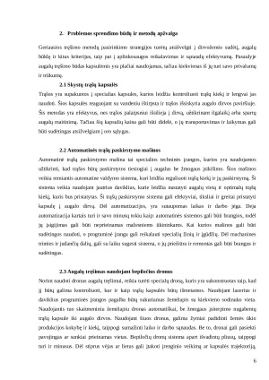 PBL ataskaitos šablonas. Paveikslėlis 6