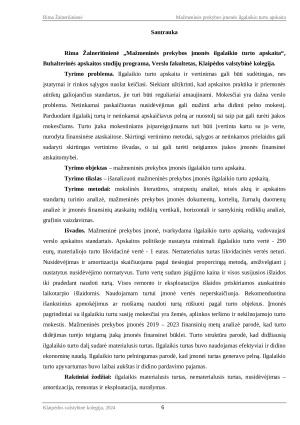 MAŽMENINĖS PREKYBOS ĮMONĖS ILGALAIKIO TURTO APSKAITA. Paveikslėlis 6