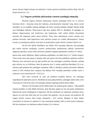 Broilerių nugaros priekinio plačiausiojo raumens patologija, jos priežastys, morfologinė analizė. Paveikslėlis 10