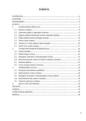 Broilerių nugaros priekinio plačiausiojo raumens patologija, jos priežastys, morfologinė analizė. Paveikslėlis 2
