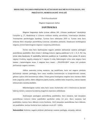 Broilerių nugaros priekinio plačiausiojo raumens patologija, jos priežastys, morfologinė analizė. Paveikslėlis 3