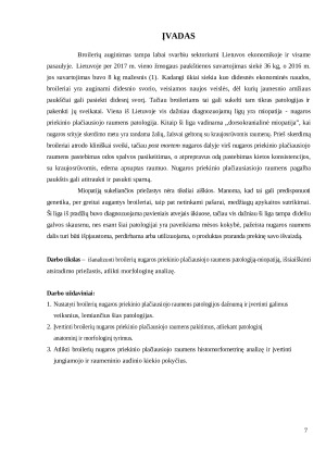 Broilerių nugaros priekinio plačiausiojo raumens patologija, jos priežastys, morfologinė analizė. Paveikslėlis 7