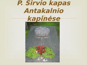 Paulius Širvys. Paveikslėlis 6