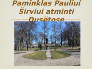 Paulius Širvys. Paveikslėlis 8