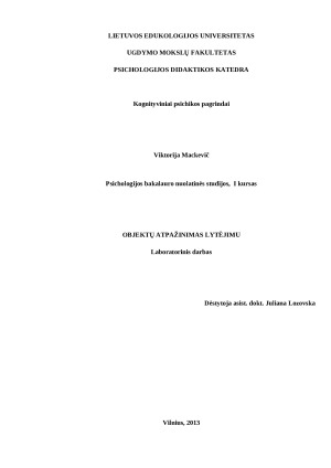 Objektų atpažinimas lytėjimu. Paveikslėlis 1