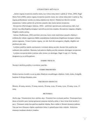 Objektų atpažinimas lytėjimu. Paveikslėlis 2