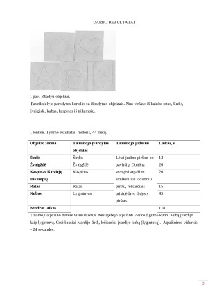 Objektų atpažinimas lytėjimu. Paveikslėlis 3