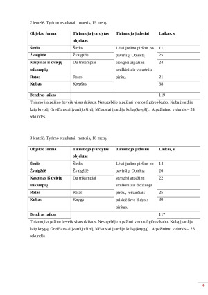 Objektų atpažinimas lytėjimu. Paveikslėlis 4