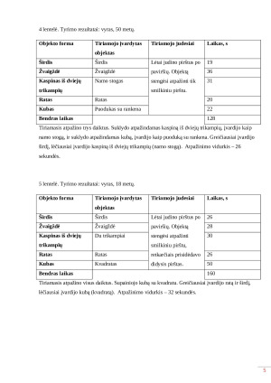 Objektų atpažinimas lytėjimu. Paveikslėlis 5