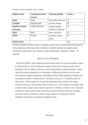 Objektų atpažinimas lytėjimu. Paveikslėlis 6