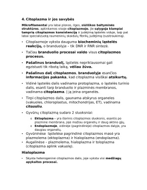 Ląstelės. Biologijos konspektas. Paveikslėlis 10