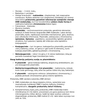 Ląstelės. Biologijos konspektas. Paveikslėlis 4