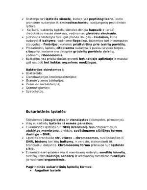 Ląstelės. Biologijos konspektas. Paveikslėlis 6