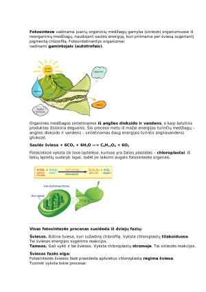 Fotosintezė. Paveikslėlis 1