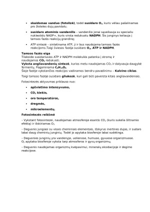 Fotosintezė. Paveikslėlis 2