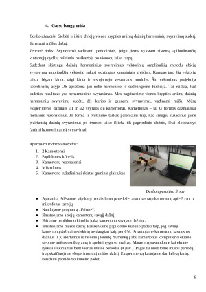 Kaip išgirsti tūrį?. Paveikslėlis 8