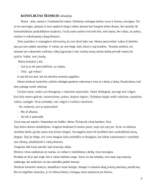 KONFLIKTO ANALIZĖ. Paveikslėlis 3