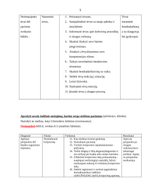 VAIKO SLAUGOS PLANAS. Paveikslėlis 5