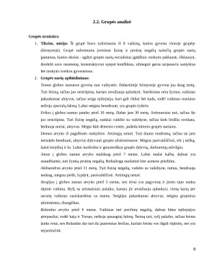 Socialinis darbas su grupe. Praktikos ataskaita. Paveikslėlis 8