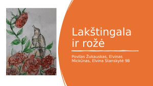Lakštingala ir rožė. Pristatymas