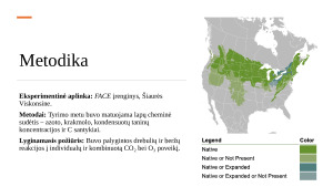Padidėjusio anglies dioksido ir ozono kiekio pasekmės drebančios drebulės (Populus tremuloides) ir popierinio beržo (Betula papyrifera) lapų cheminei sudėčiai ir dinamikai. Paveikslėlis 4