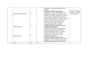 MUZIKOS ILGALAIKIS PLANAS 1-2 KLASEI. Paveikslėlis 5