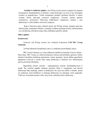 AQ Wiring Systems įmonės veiklos ir marketingo analizė. Paveikslėlis 5